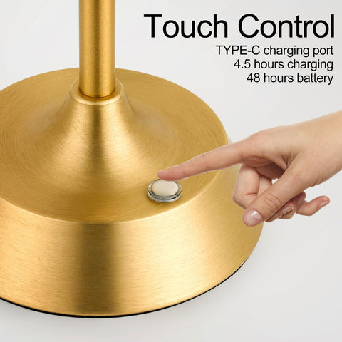 TIZURD lamp offers versatile uses with three brightness levels