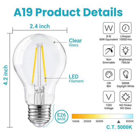 TJOY A19 clear glass filament bulb enhances rustic chandeliers and sconces.