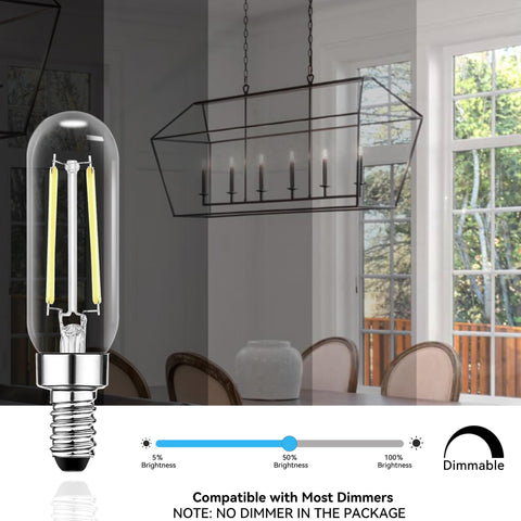 TJOY Edison-style clear glass bulb adds retro charm without mercury