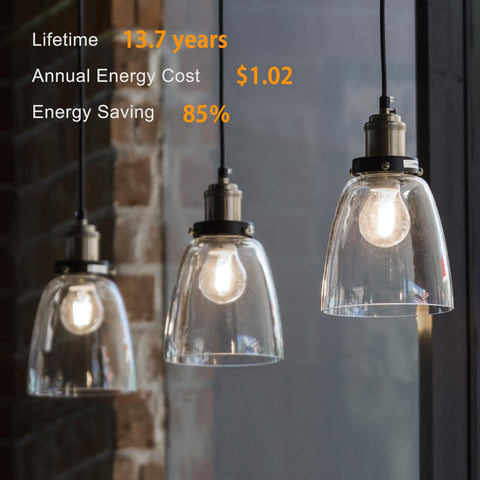 TJOY dimmable Edison bulb with smooth control for adjustable moods.