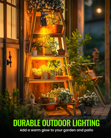 TobeBright warm white 3000K light creates a cozy atmosphere.