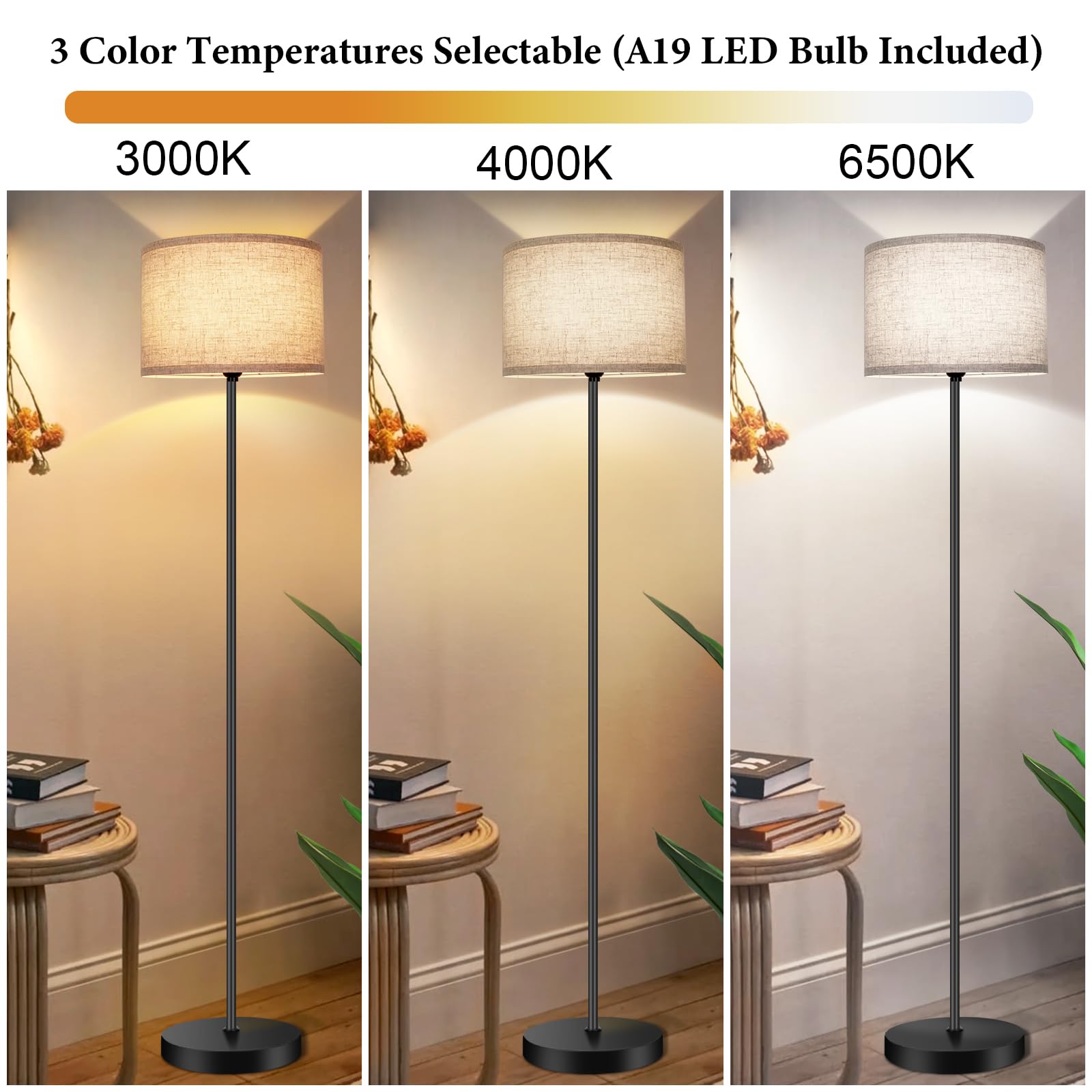 TOBUSA 65-inch tall lamp brightening larger living spaces without crowding