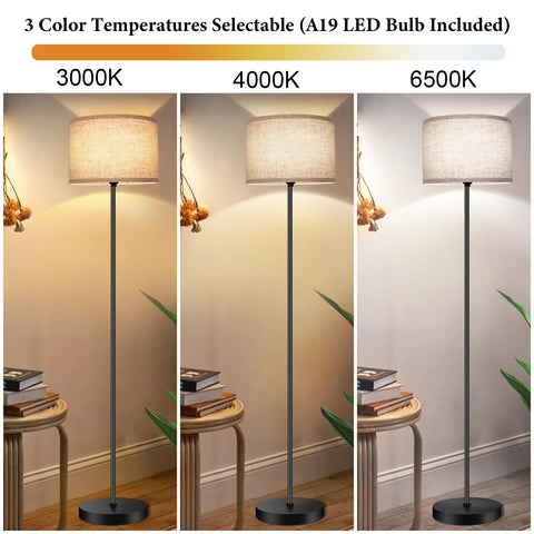 TOBUSA 65-inch tall lamp brightening larger living spaces without crowding