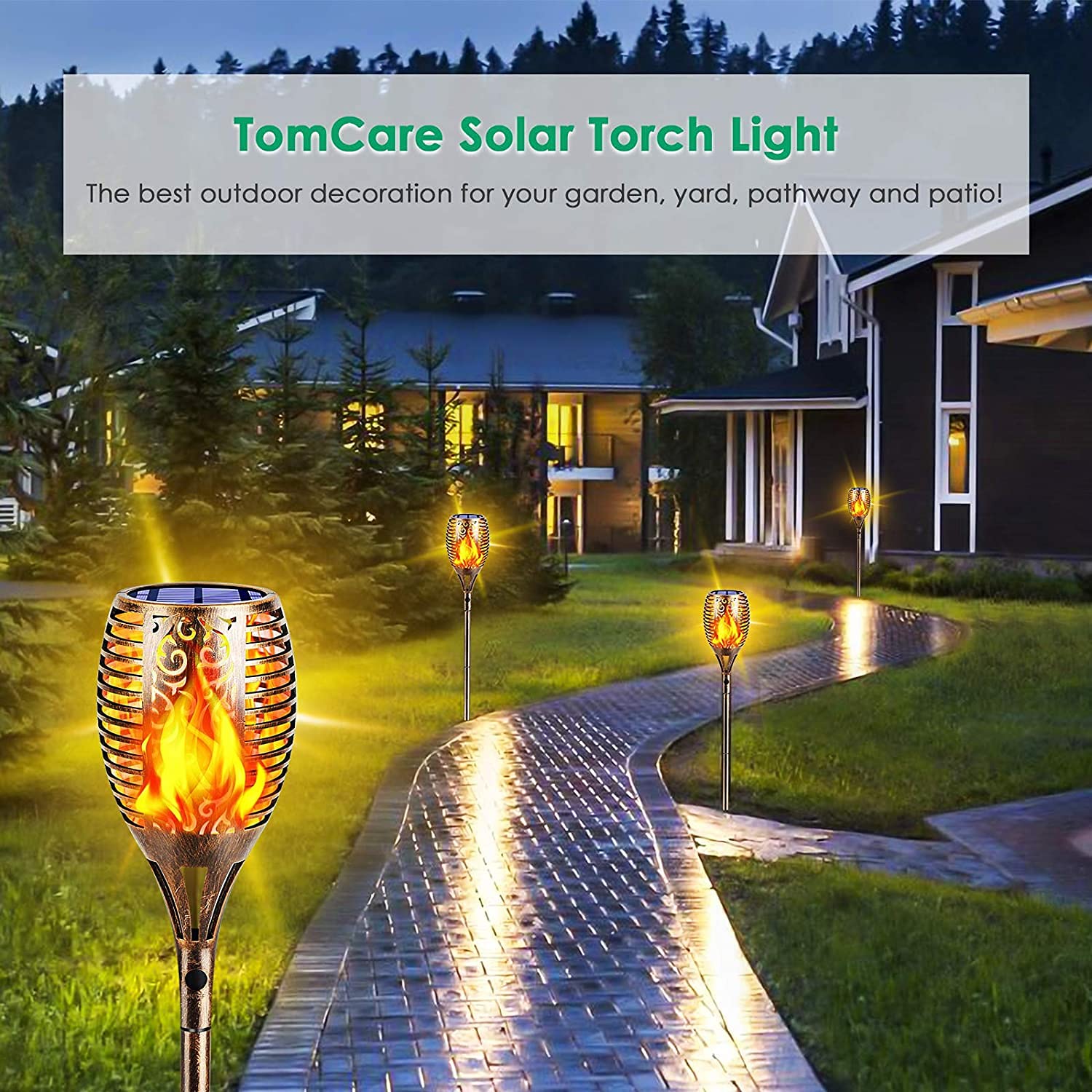 TomCare solar lights at dusk provide warm yard ambience without wiring.