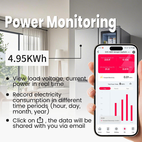 Tongou power monitoring view illustrating real-time consumption and export options.