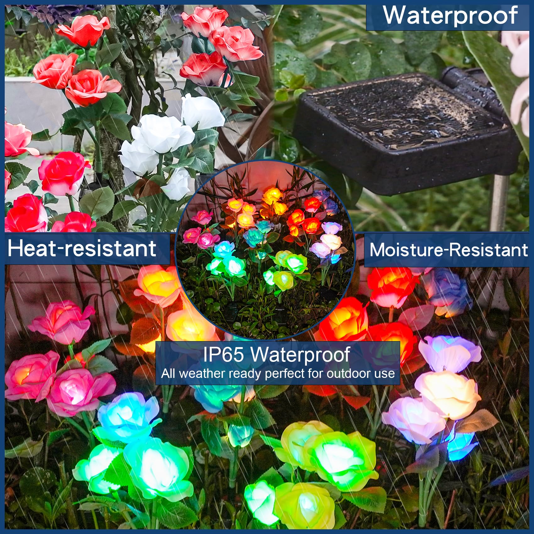 TONULAX rose lights along pathways add romantic color transitions at dusk.