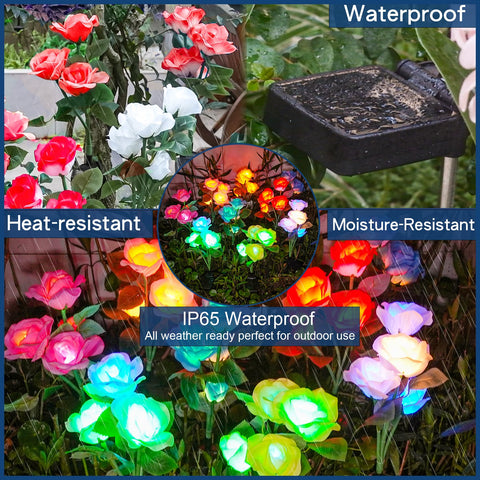 TONULAX rose lights along pathways add romantic color transitions at dusk.