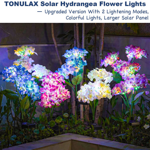 TONULAX light-packaging set showcases easy install and outdoor decor appeal.