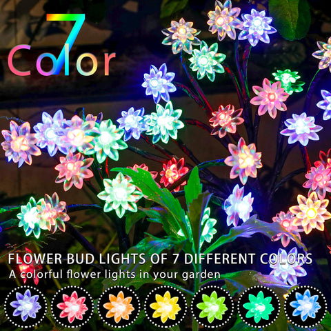 TONULAX front yard display offers ambient lighting and curb appeal.