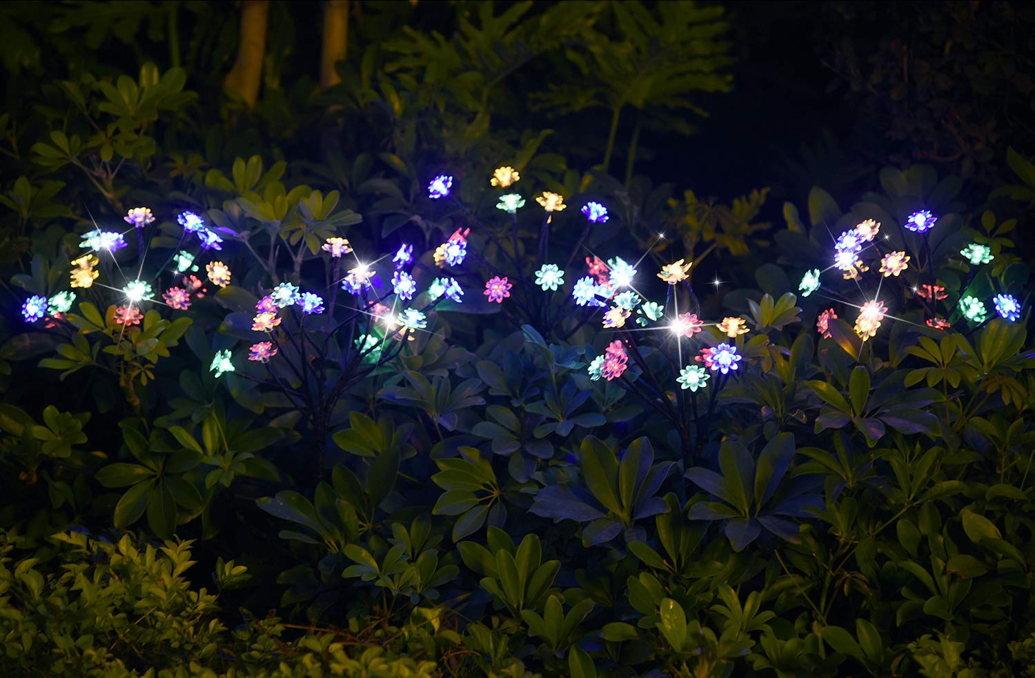 TONULAX two-pack provides balanced, easy outdoor lighting coverage.