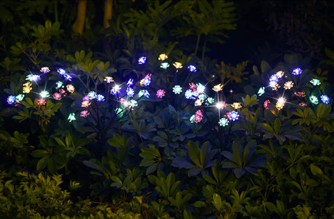 TONULAX two-pack provides balanced, easy outdoor lighting coverage.