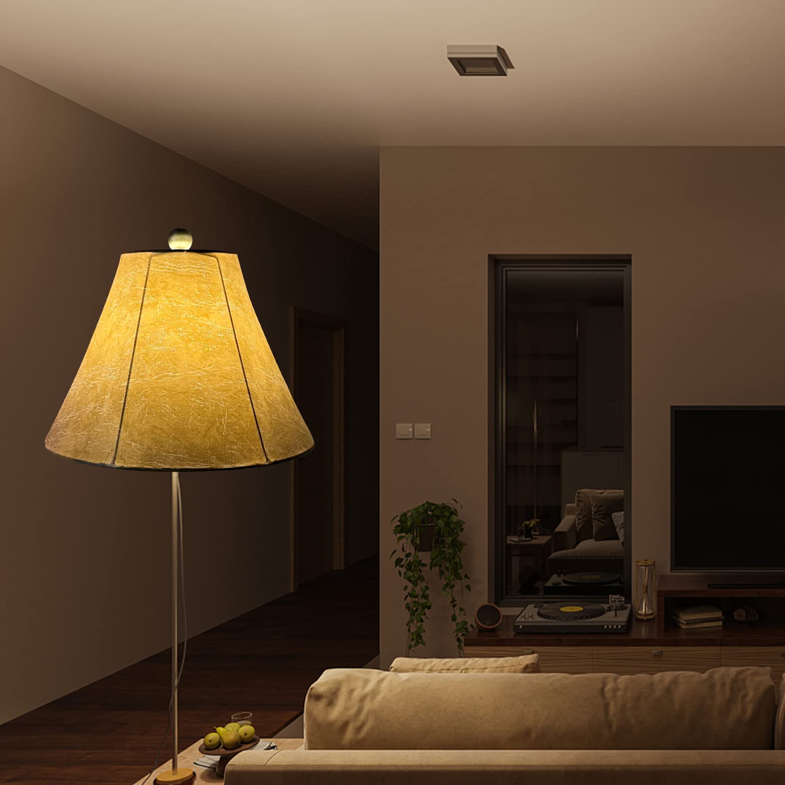 TOOTOO STAR floor lamp styling enhances home decor.