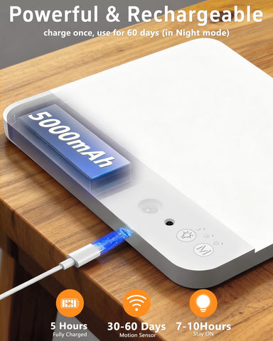 TOOWELL 5000mAh battery delivers long-lasting power
