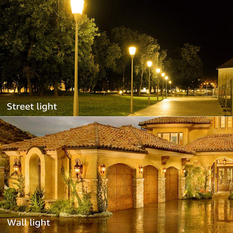 TorchSTAR 3-year warranty on outdoor A19 bulb for reliable outdoor lighting