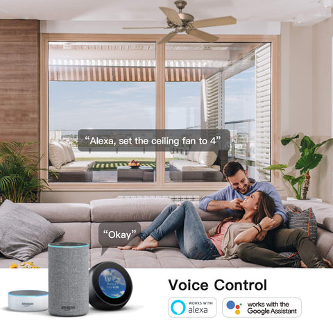 TREATLIFE fan switch with Google Home compatibility for voice commands.