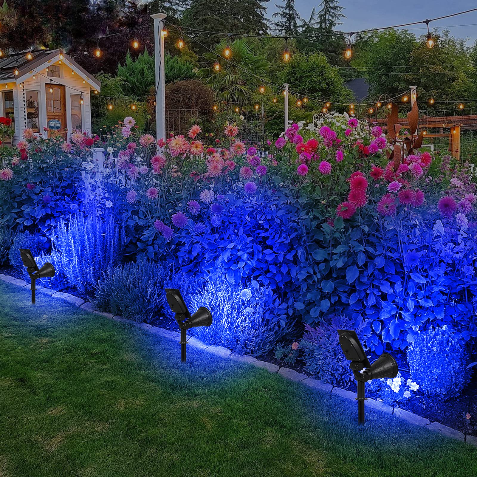 T-SUN Blue Solar Spotlight two-pack for versatile landscape lighting.