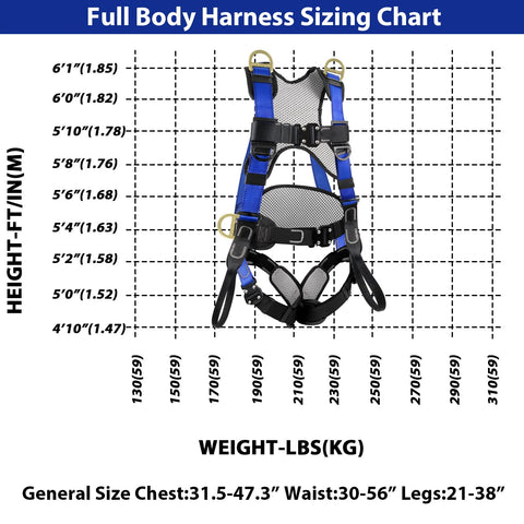 TT TRSMIMA back support belt, 8-inch wide, for enhanced lumbar comfort.