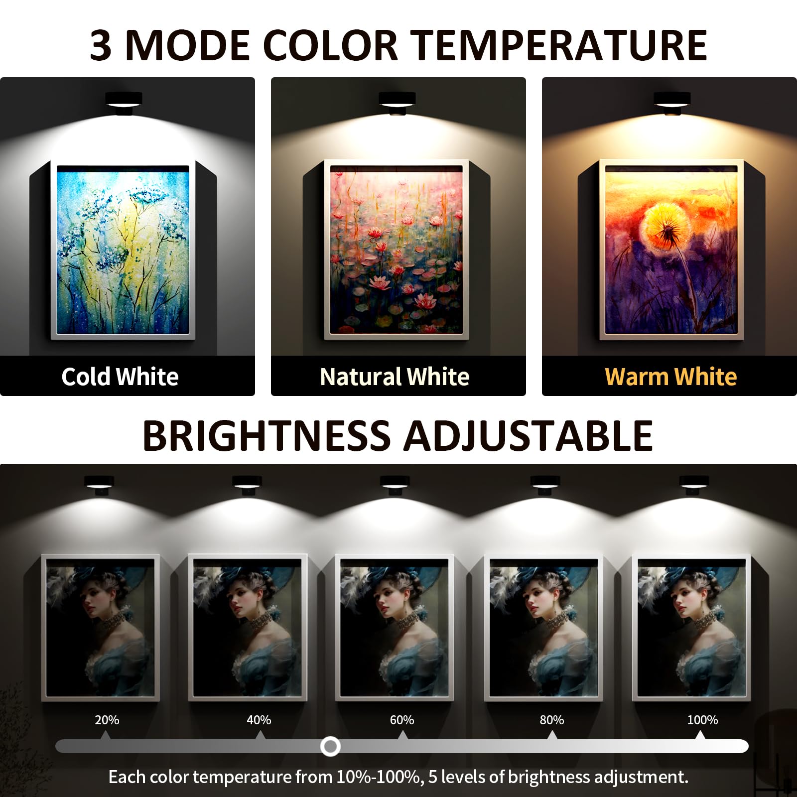 Tututry magnetic frame light attachment secures frames without tools.