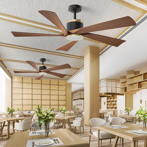 TXCSLY dimmable LED light from warm to cool with adjustable brightness