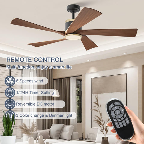 TXCSLY indoor outdoor compatible ceiling fan with weather friendly design