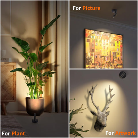 URTOM 3CCT LED Spotlight remote control lets you light from across the room.