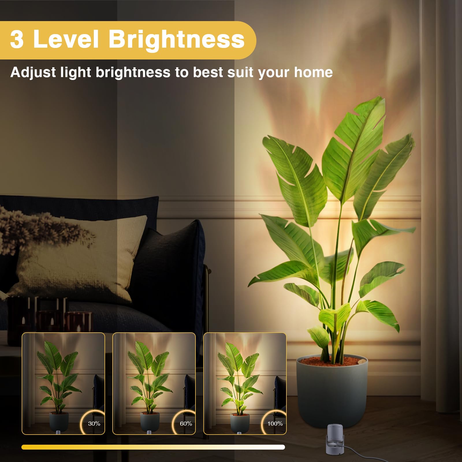 URTOM 16 static colors plus dynamic modes for flexible mood lighting.