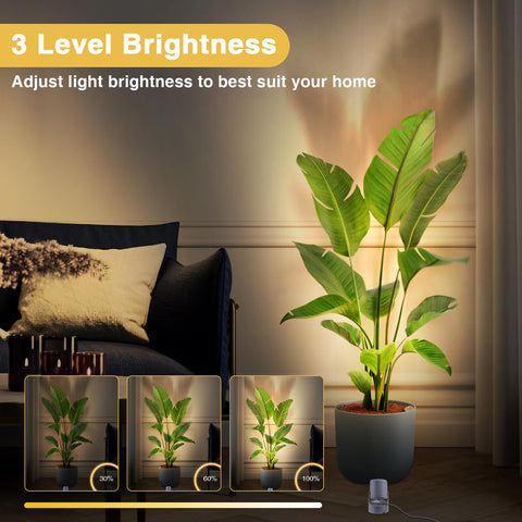 URTOM 5.9ft cord uplight simple setup anywhere indoors.