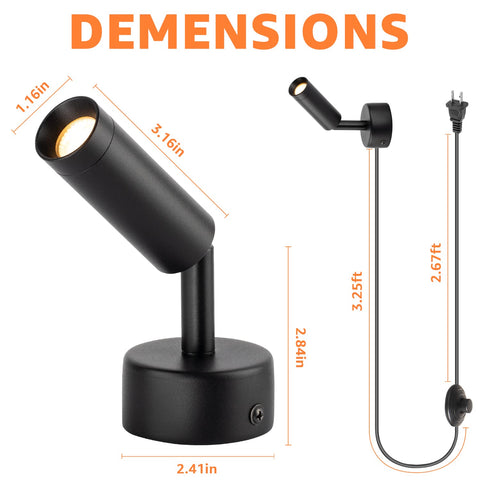 URTOM plant uplight enhances greens and textures.