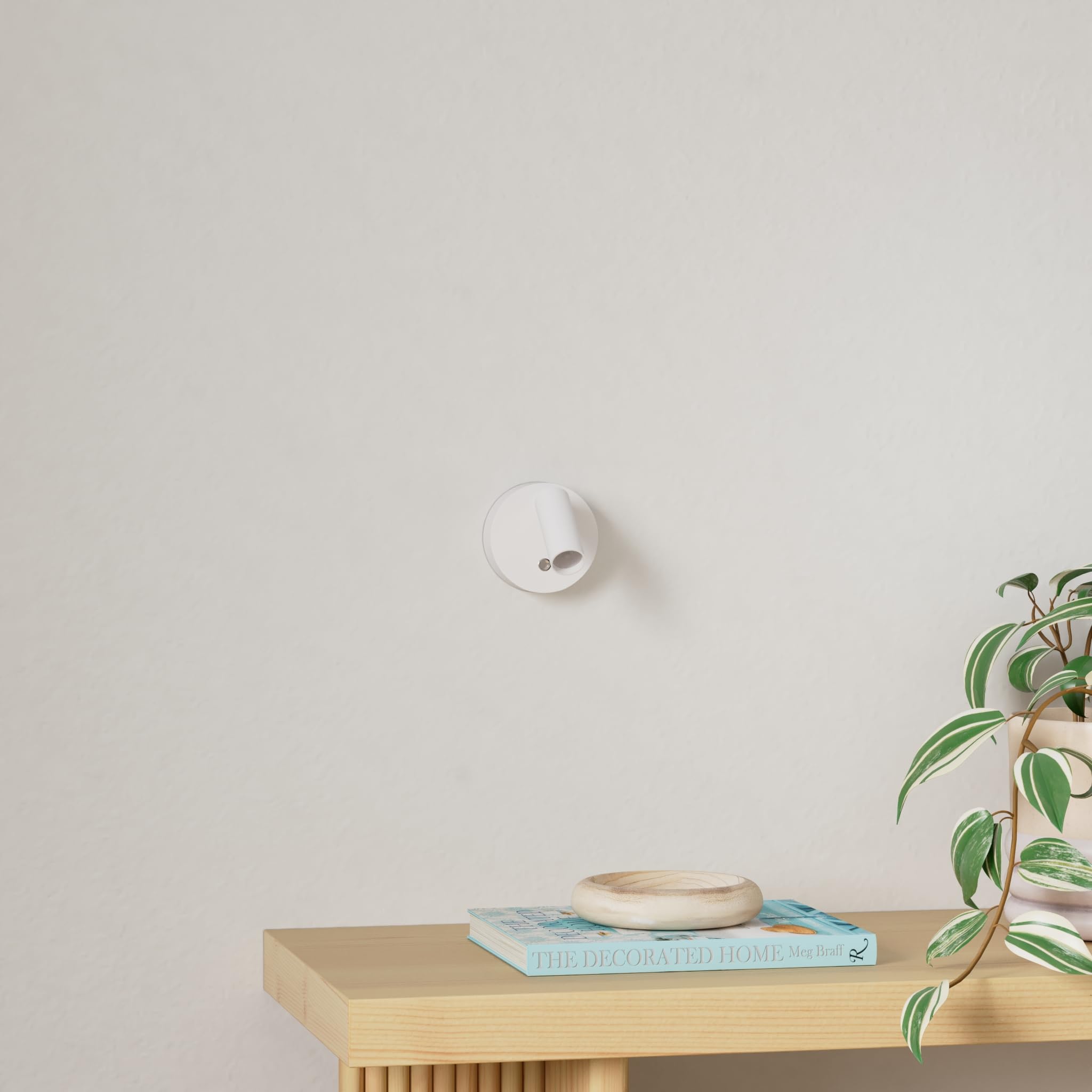 URTOM Wireless LED Spotlight highlights indoor plants with dramatic uplighting.