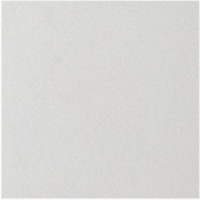USG Interiors paintable 12x12 tile offers versatile color matching.