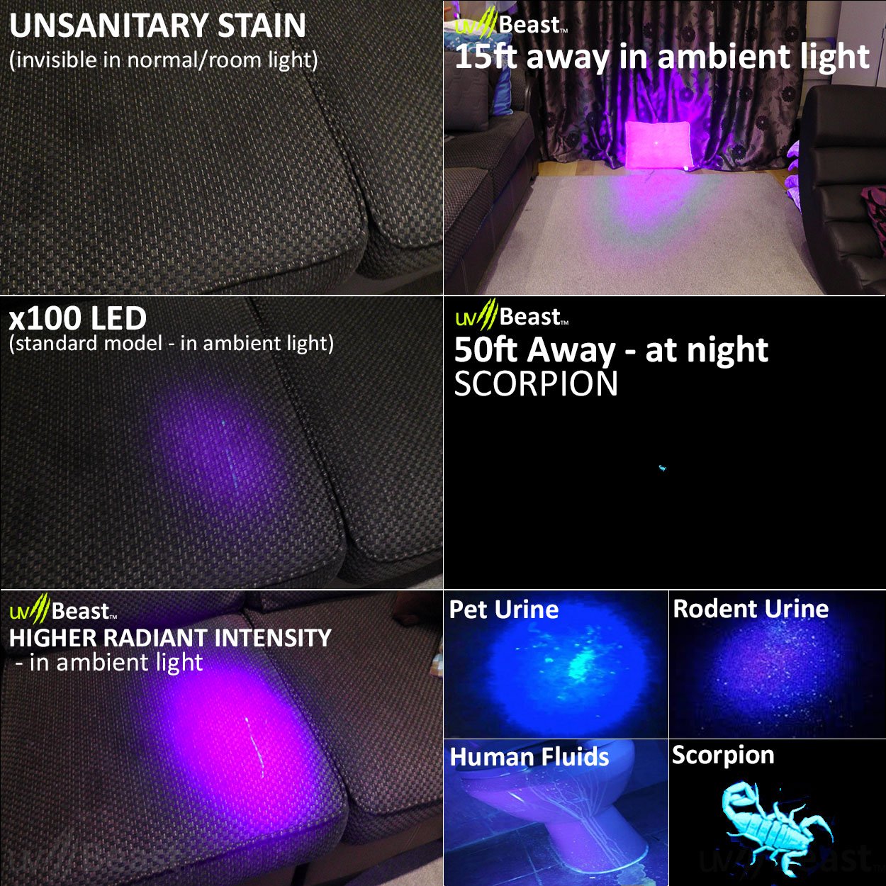 Night scenario demonstrates versatile use in dim environments and art projects.