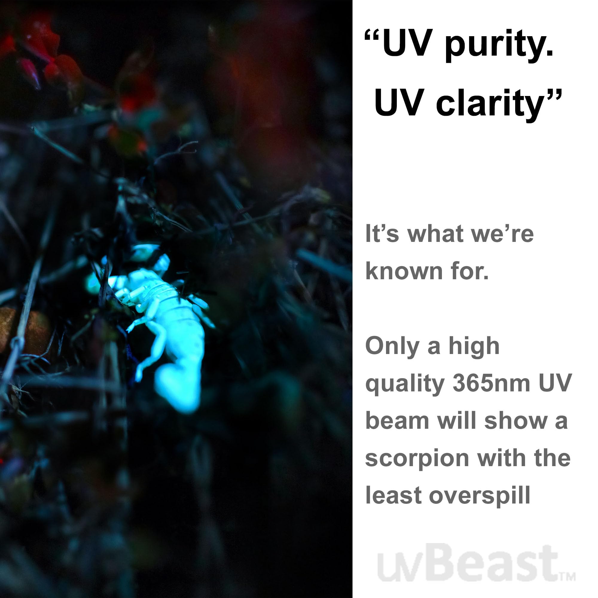 uvBeast V3 365nm PRO carry case protects the device during transport