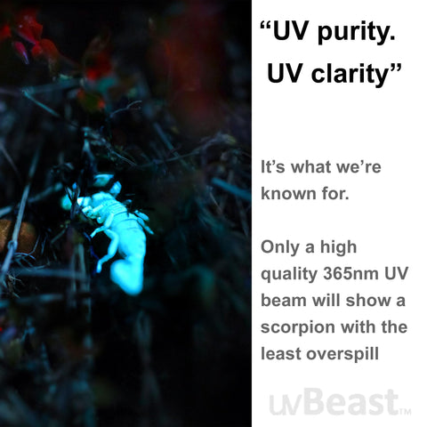 uvBeast V3 365nm PRO carry case protects the device during transport