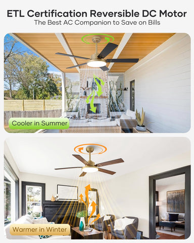 Vaczon adjustable downrods ensure perfect fit for various ceilings.