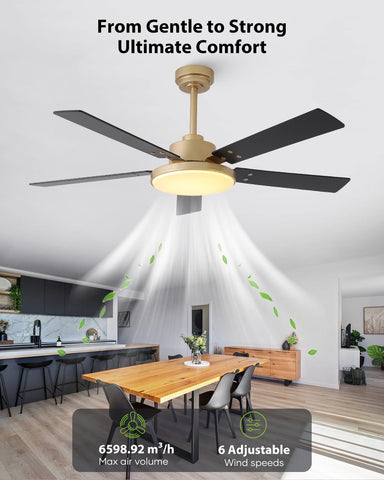 Vaczon gold-black dual-finish blades adding modern elegance to living spaces.