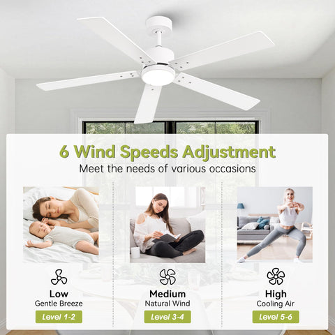 Vaczon remote control enables easy speed and light adjustments
