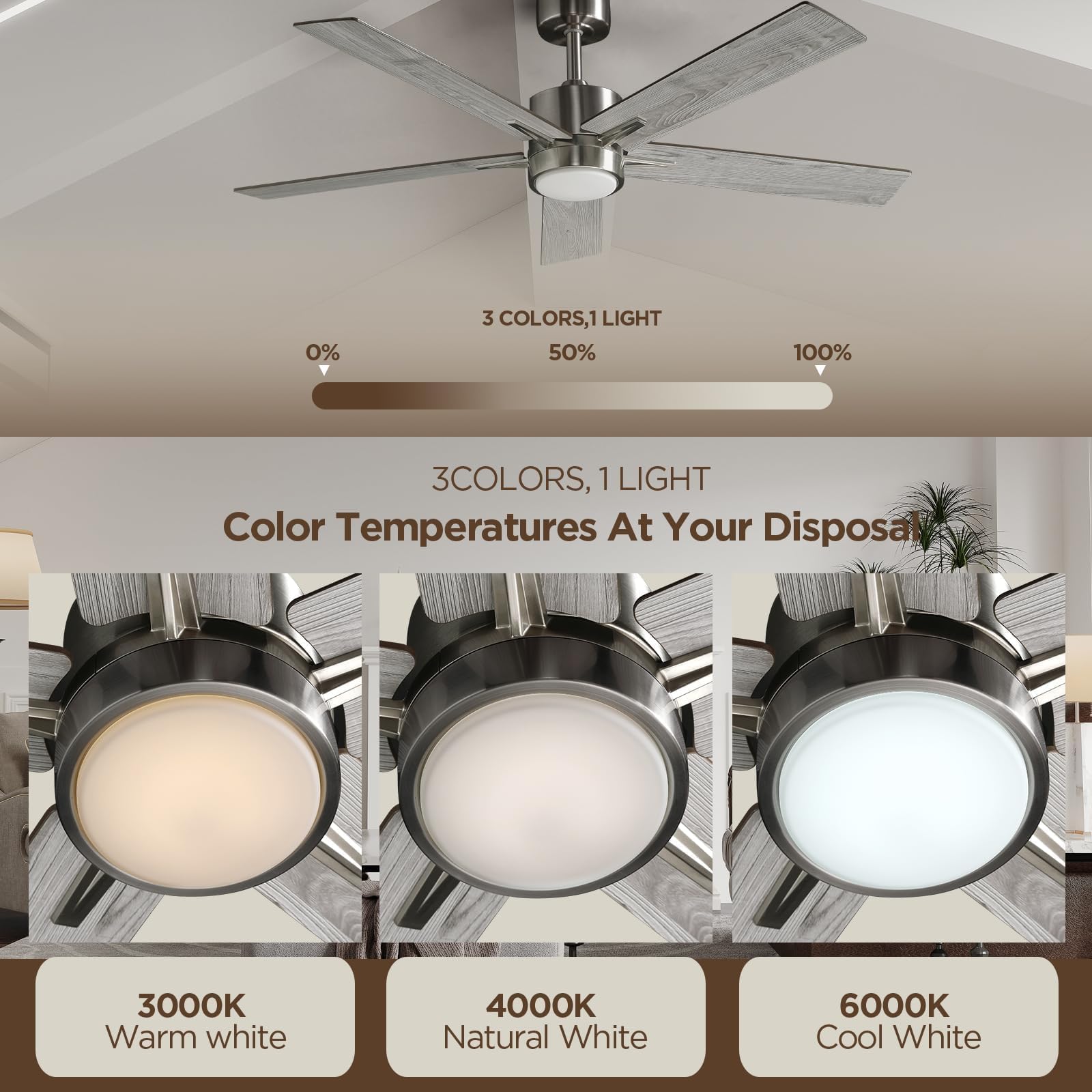 Vagizm dimmable light with glass cover for soft, flicker-free ambience.