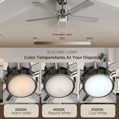 Vagizm dimmable light with glass cover for soft, flicker-free ambience.