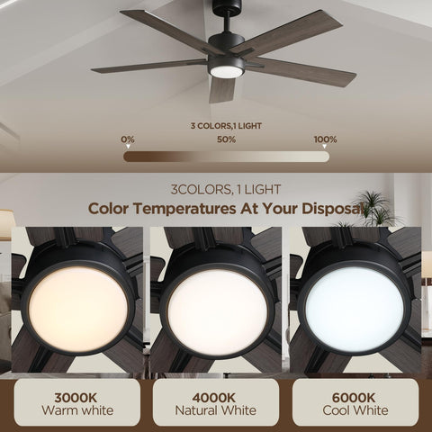 Vagizm LED dimmable light kit with three color temps for any mood.