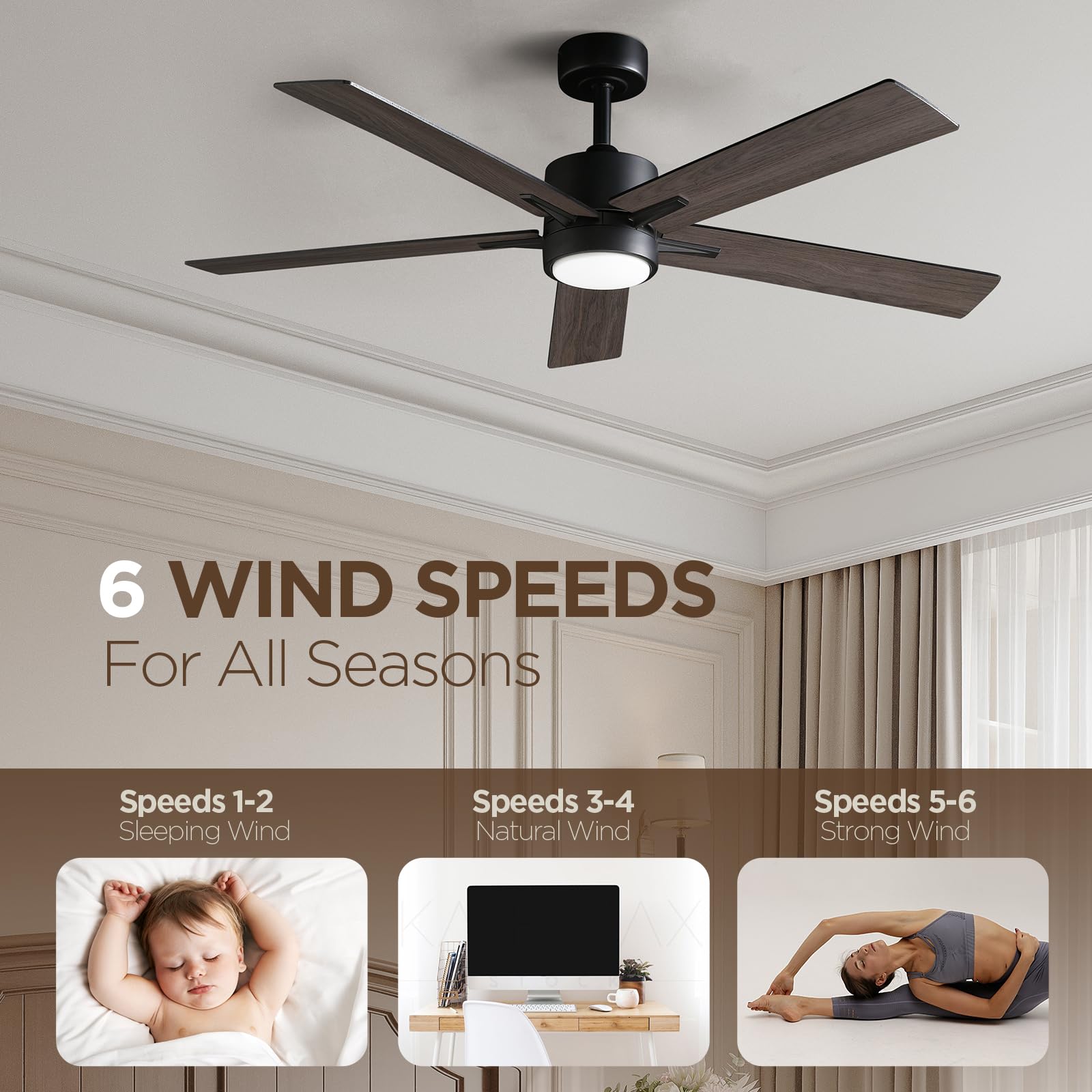 Vagizm quiet DC motor ensures near-silent operation in bedrooms.