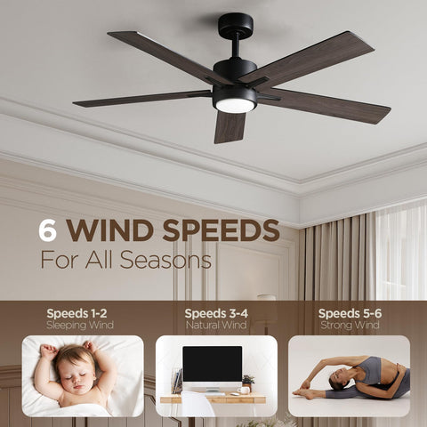 Vagizm quiet DC motor ensures near-silent operation in bedrooms.