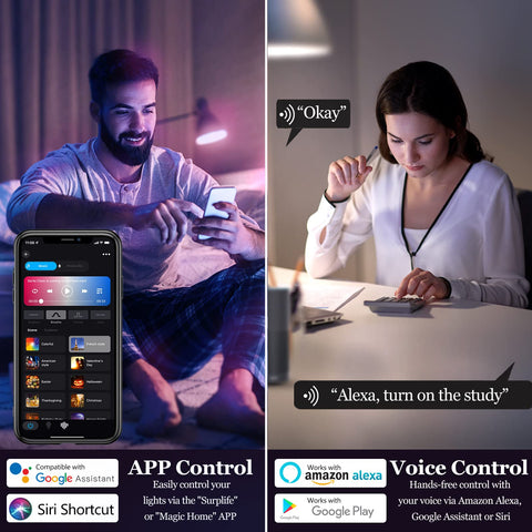 Vanance app controlled bulbs displaying automation and scheduling options
