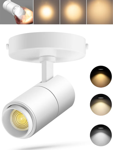VANoopee ceiling spotlight with adjustable color temperature highlighting artwork