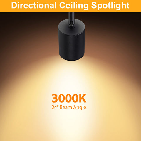 VANoopee adjustable beam demonstrates versatile angles for effective accents.