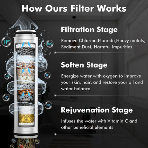 Vatex two-pack shower filter ensures steady supply for months.