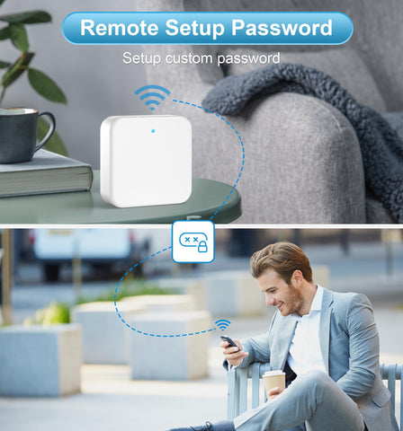 Veise G2 gateway enabling Alexa and Google voice control