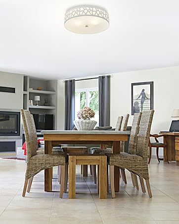 VICNIE hallway/dining ambience flush-mount creating a modern look