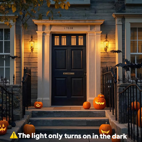 Vicstone 2-pack flame bulbs for holiday porch decor