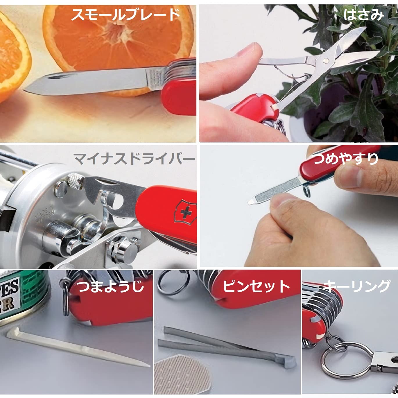 Victorinox Classic SD screwdriver for simple adjustments anywhere.
