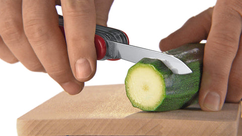 Victorinox Minichamp scissors showcase precise cutting in a compact kit.